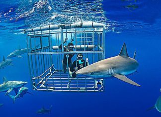 Những kiểu du lịch độc đáo nhất thế giới mà du khách không ngờ tới Những kiểu du lịch độc đáo nhất thế giới mà du khách không ngờ tới