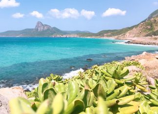 Du lịch Côn Đảo tự túc có đắt không? Chi phí khoảng bao nhiêu? Du lịch Côn Đảo tự túc có đắt không? Chi phí khoảng bao nhiêu?